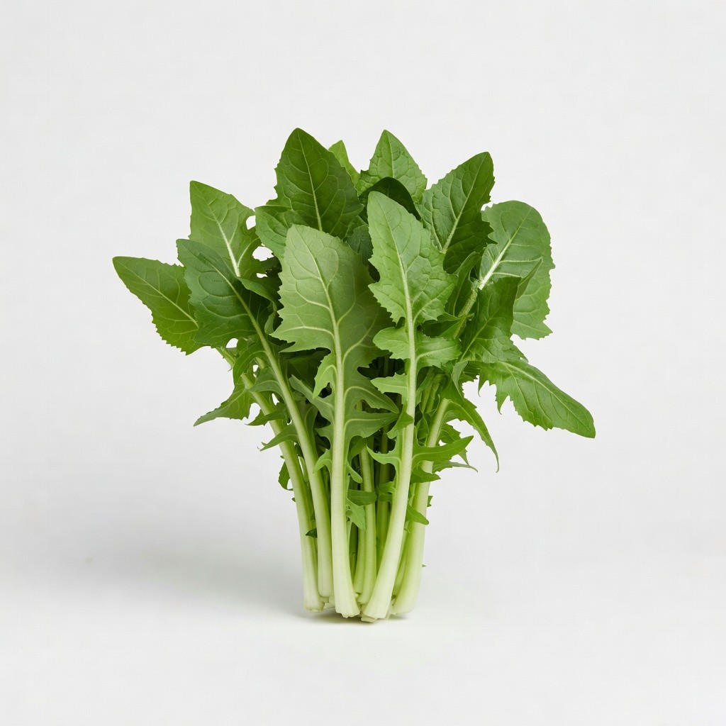 Hindiba (Çikori)