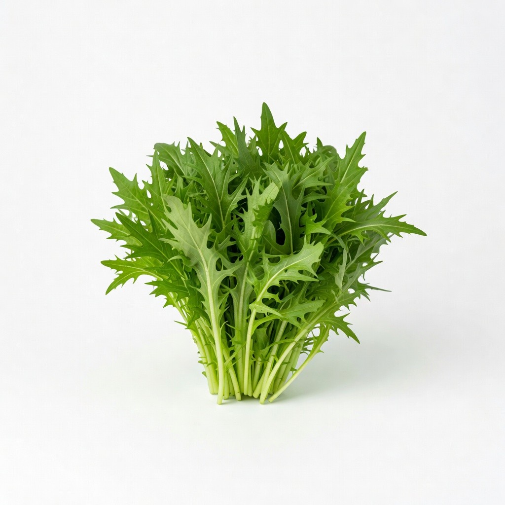 Mizuna Otu