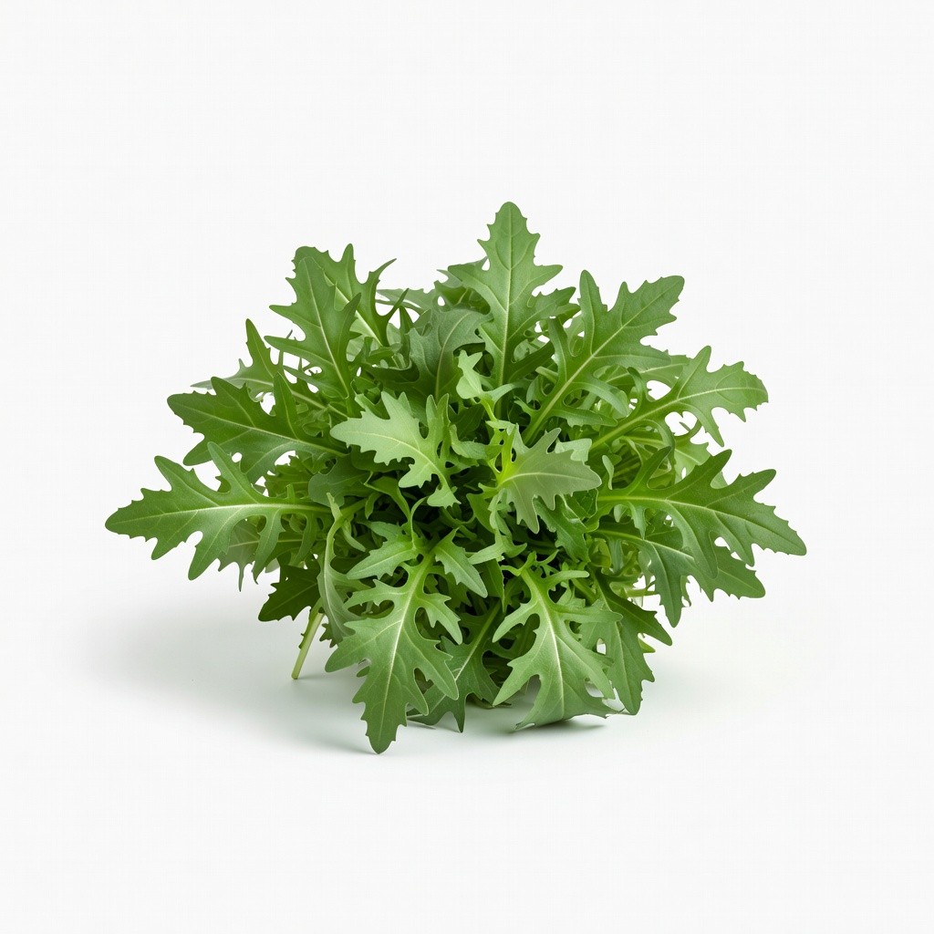 Rakula